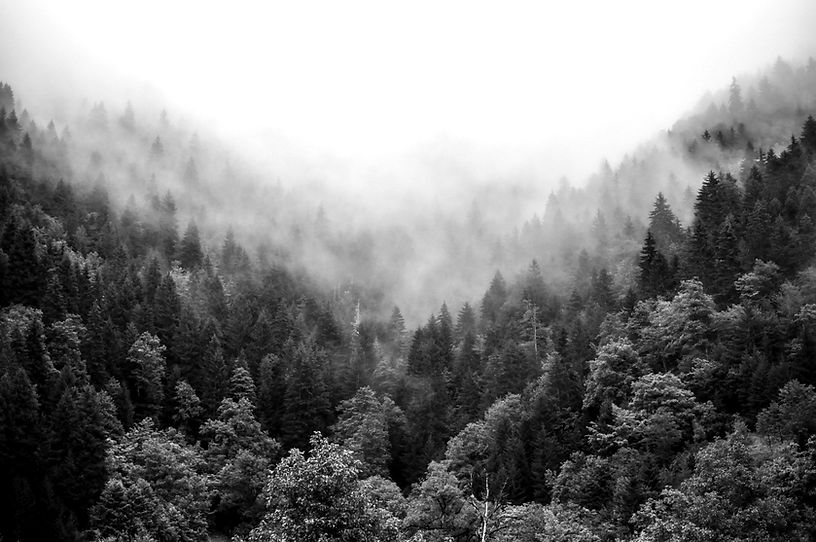 This photo was taken in the high mountains of Adjara, Georgia, while I was doing my projec