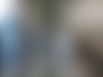 教室の仕切り席の間に大きな観葉植物のドラセナが立ち、左に教室の入り口、応援先のアルティメットグループの告知が見える静かな室内。