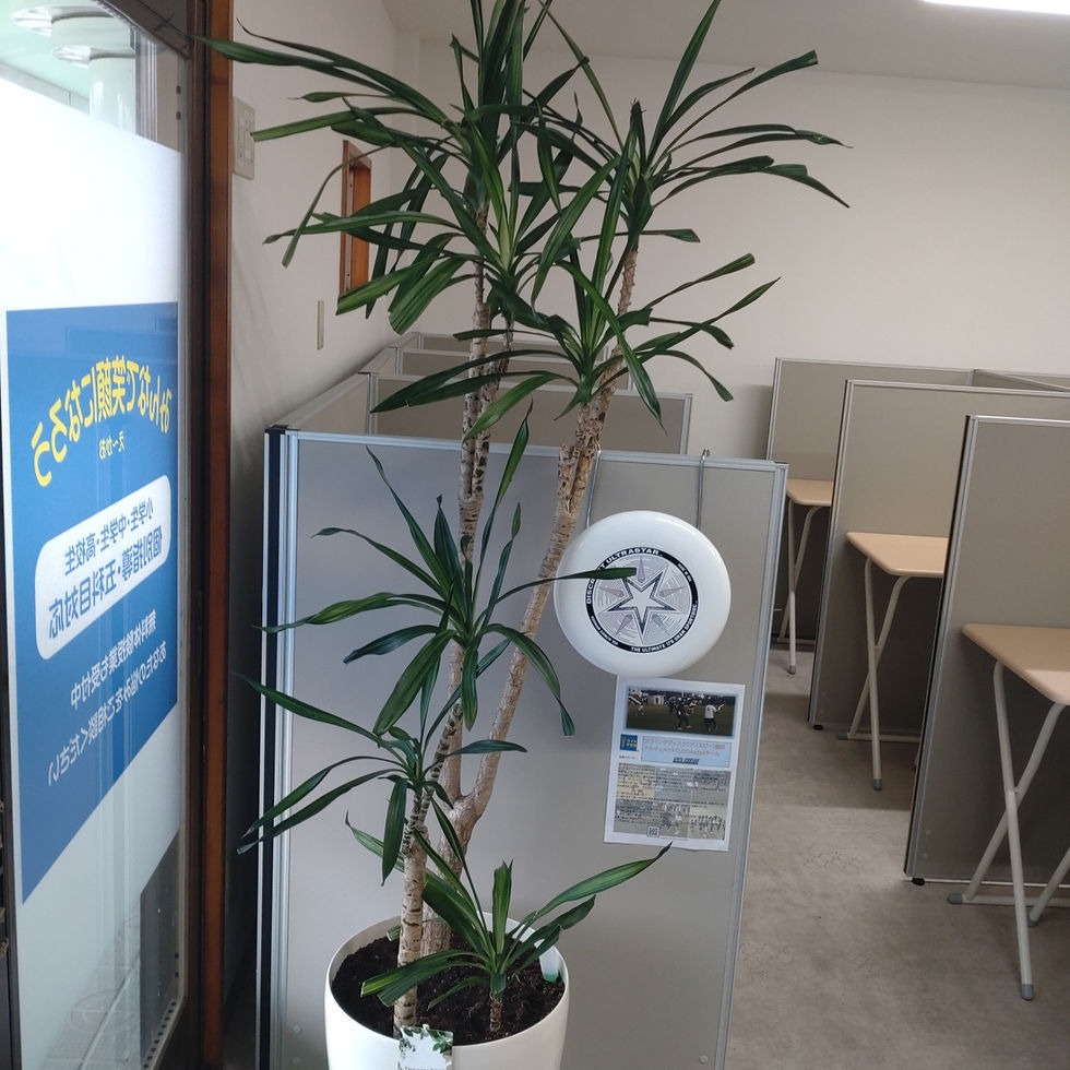 教室の仕切り席の間に大きな観葉植物のドラセナが立ち、左に教室の入り口、応援先のアルティメットグループの告知が見える静かな室内。