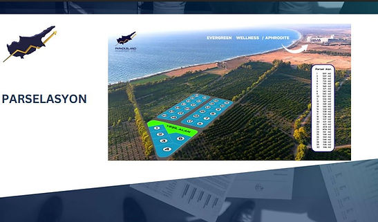 Real estate project, North Cyprus