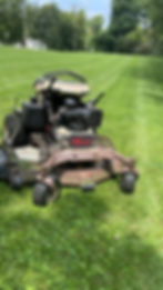 grasshop.jpg