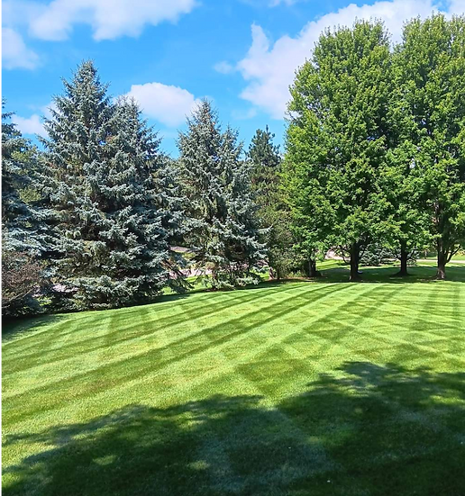 Untitled (Website) (10).png