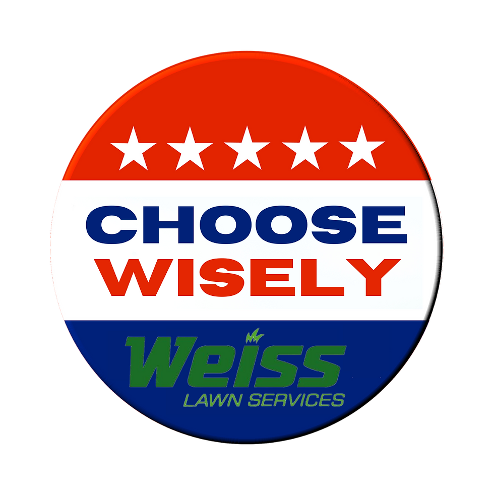 CHOOSE WISELY (1).png