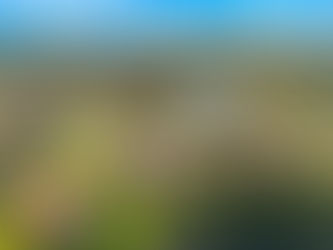 Mortgage Rates Drop Below 6%! What It Means for Florida’s Space Coast Housing Market