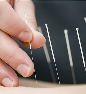 Screen Shot 2025-08-15 at 12.22.06 PM.png