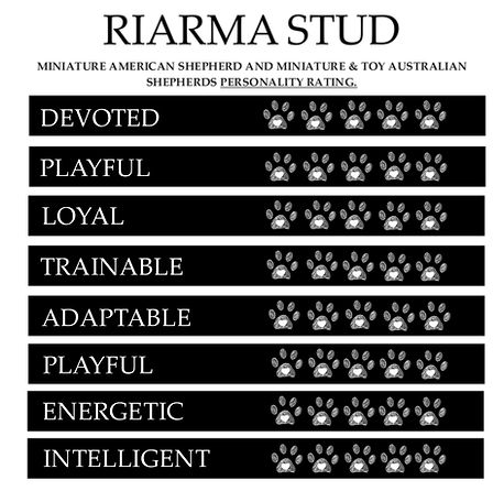 Personaility rating.png