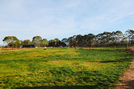 PL Winter 22 (27).jpg