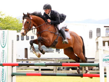 OLIVER CROUCHER: Lazarus GNZ in his first Futurity class.