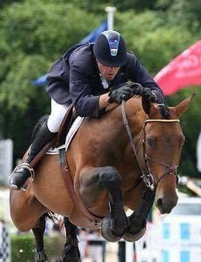 LESBO D'OUILLY: TOP QUALITY MARE BY THE SAME SIRE AS DIAMANT DE SEMILLY.