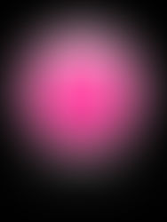 PL Performance Horses