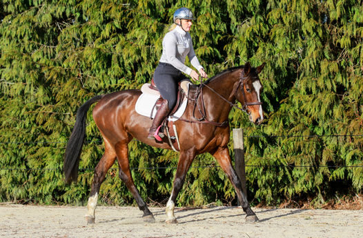 Hayley Autumn 2022 (31).jpg