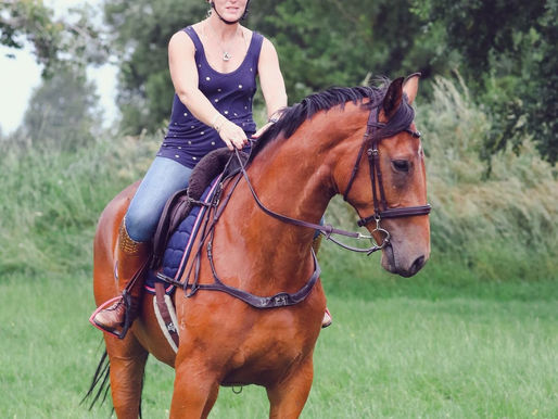 PL FLYING SPUR 3YO