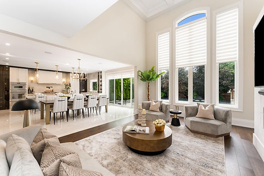 Modern 9 renovation: open dining/living with table, chairs, kitchen island, plants, and arched windows.