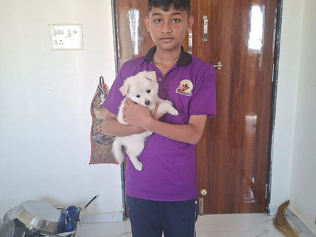 🌟 Happy Customer Spotlight! 🌟A big thank you to Mr. Surawade & Family for trusting Parth Kennel! 🏡🐾