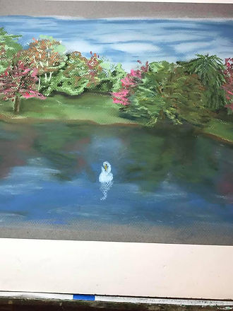 Finished Swam Lake.jpg