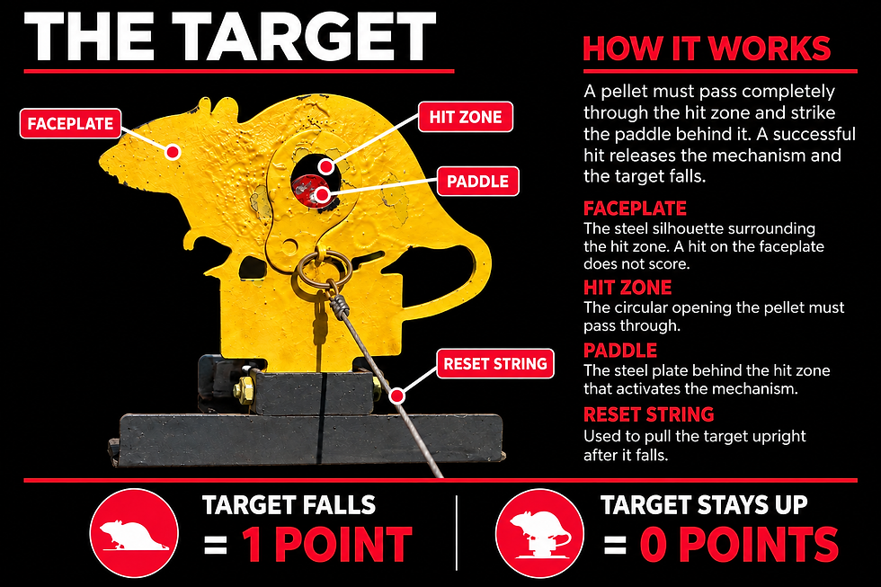 knockdown target infographic.png