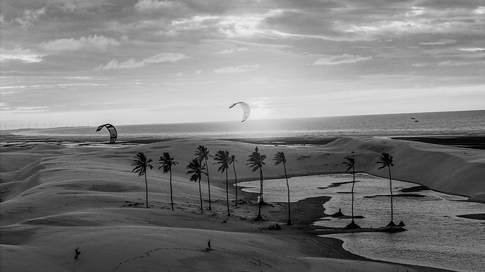 _DSC3513_edited.jpg