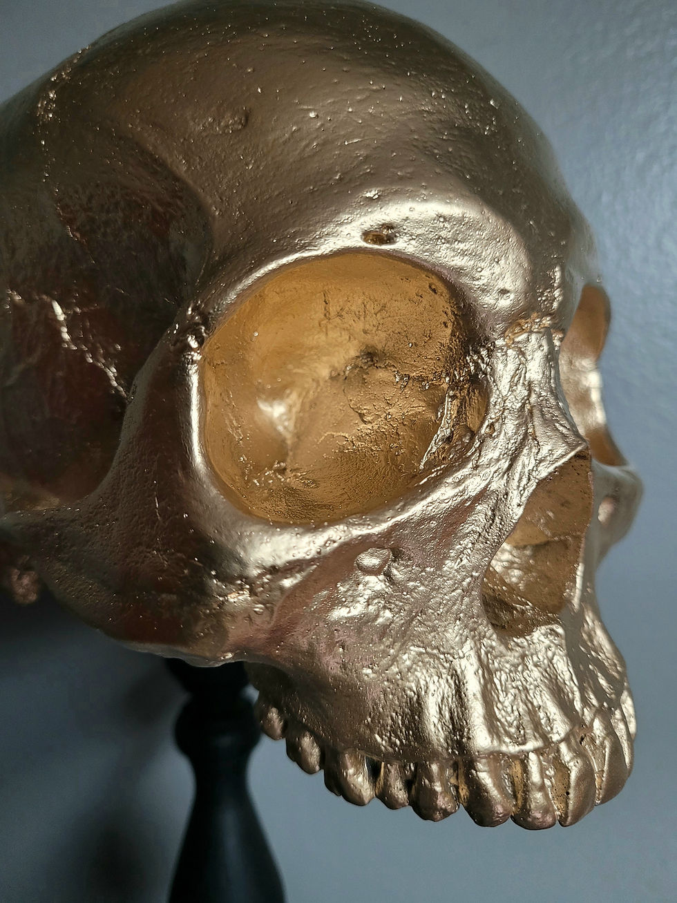 Thumbnail: Luxury Gold Skull Pedestal Centerpiece – NEW Catacomb Curiosities Collection