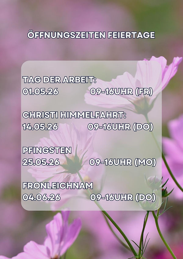 WhatsApp Image 2026-04-30 at 20.55.54.jpeg