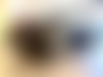 《ご成約御礼》2009モデル　フェラーリF599F1セラミックブレーキ/デイトナシート