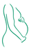 Outline of a pregnant person