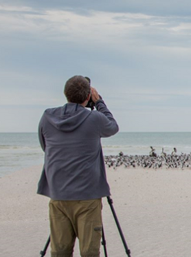 Two volunteers with a spotting scope looking out over a beach