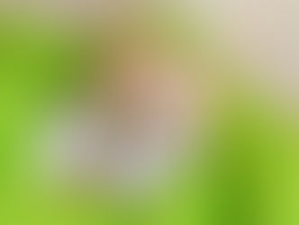 お休みのお知らせと鑑定をお受け頂いた方からのご感想をシェア致します。