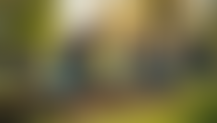 The Transformative Impact of Optimist Clubs on Community Wellbeing and Sustainability