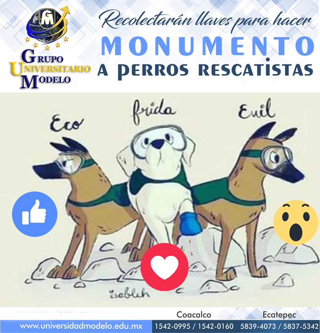 Recolectarán llaves para hacer monumento Perros rescatistas