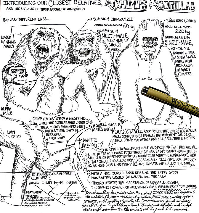 New Doc 2018-09-30 23.32.57_2 (1).jpg