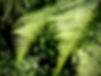 P1010231_edited.jpg