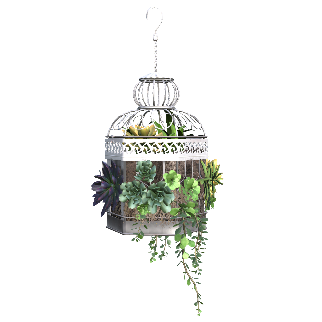 A hanging planter with a lush green plant