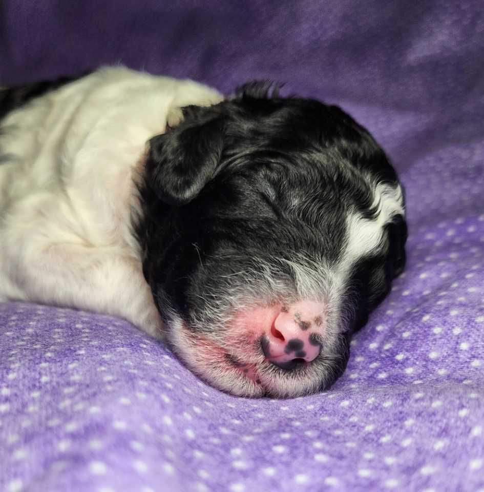 370227107_728133626018179_7962857864881820874_n