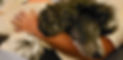 Sleeping beauty.jpg
