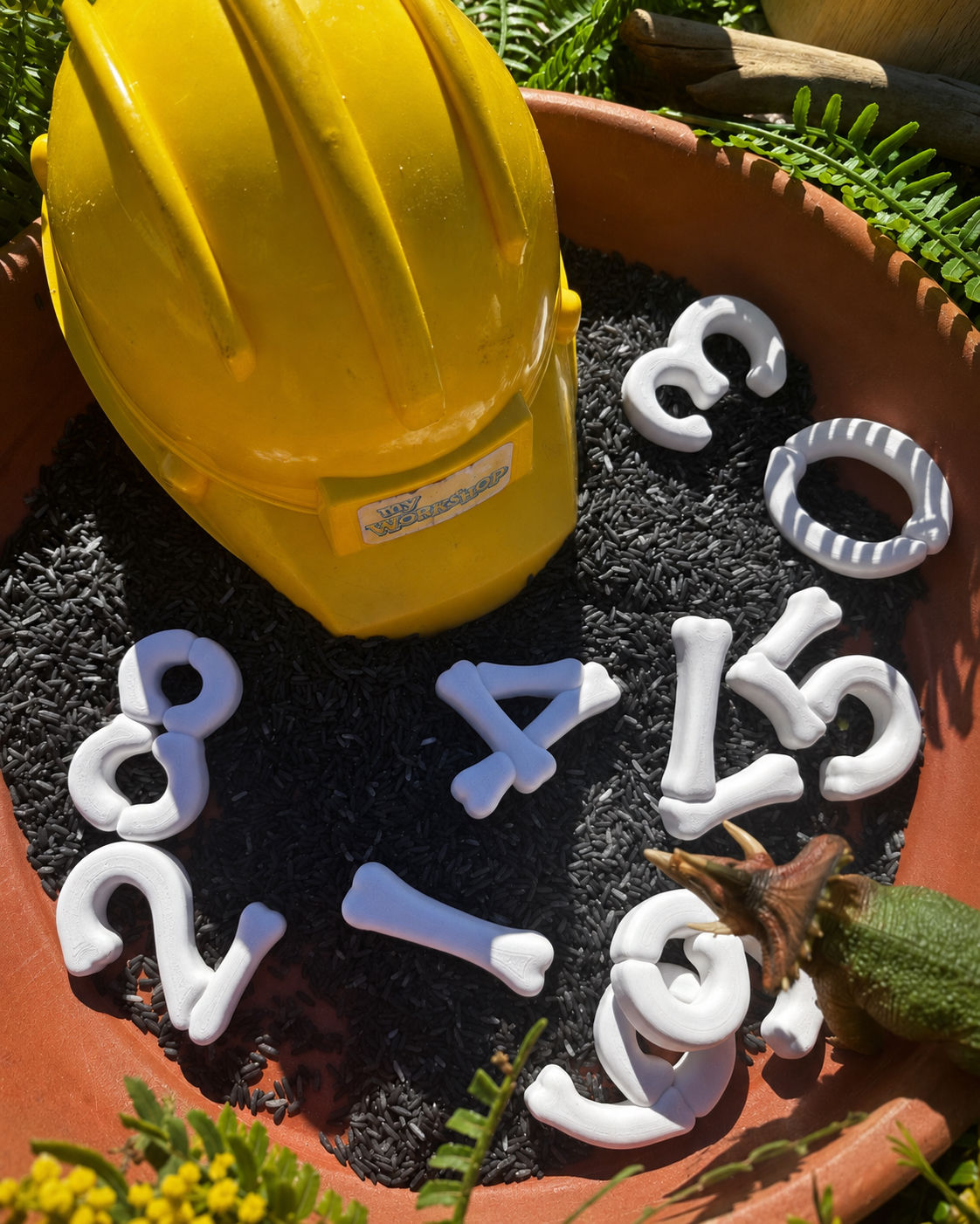 Dino bone Numbers and letters