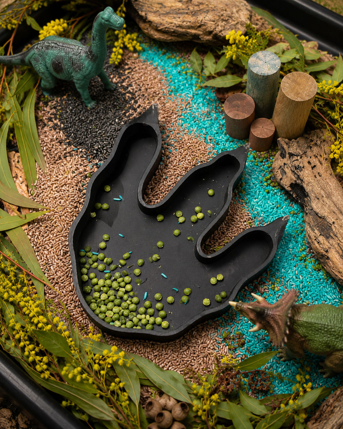 Dino footprint sensory tray-Made to order