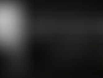 LA FUNCIÓN DE LA DESCONFIANZA.