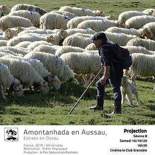 estives en ossau.jpg