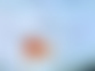 A wind sock filled with wind, translucent picture of birds flying in the backgroud