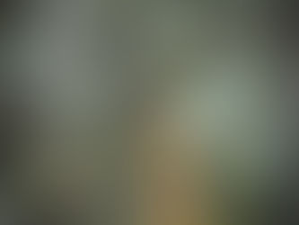 A hand reaching up to pluck an olive from its tree