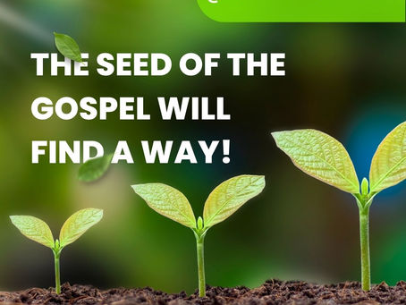 Gardening, the Gospel, and God: Finding Fertile Fields for Faith