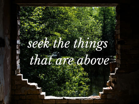 The view of a lush forest, seen through an opening in a brick wall