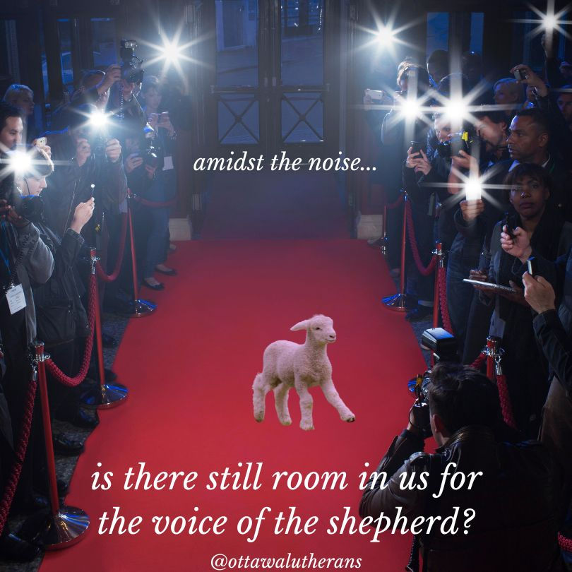 A lamp surrounded by red carpet and paparazzi