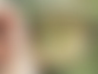 Someone looking at the forest through the lens of their glasses.