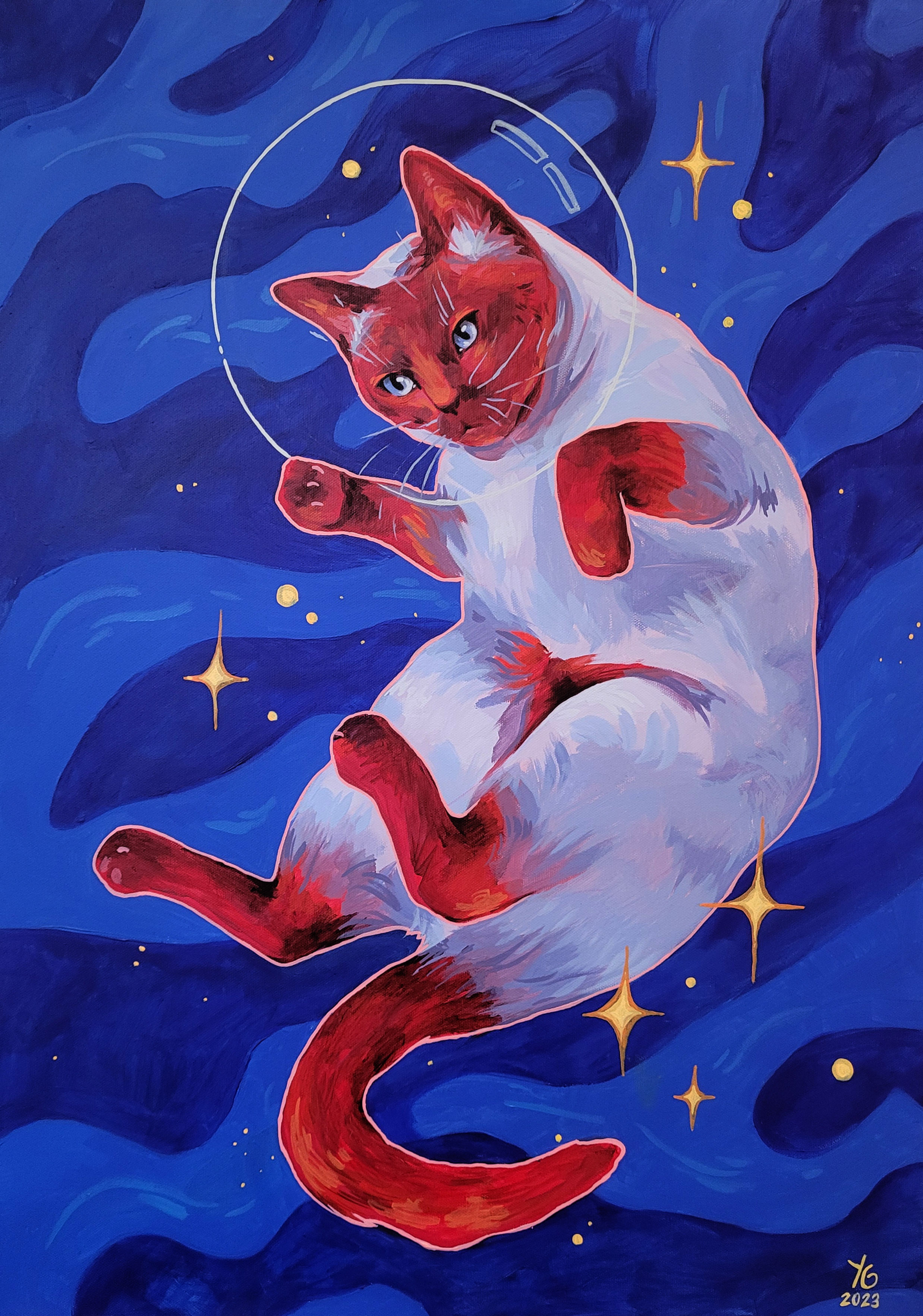 Astro cat 50x70cm (Original)