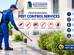 Pest Control AMC Services in Al Ain