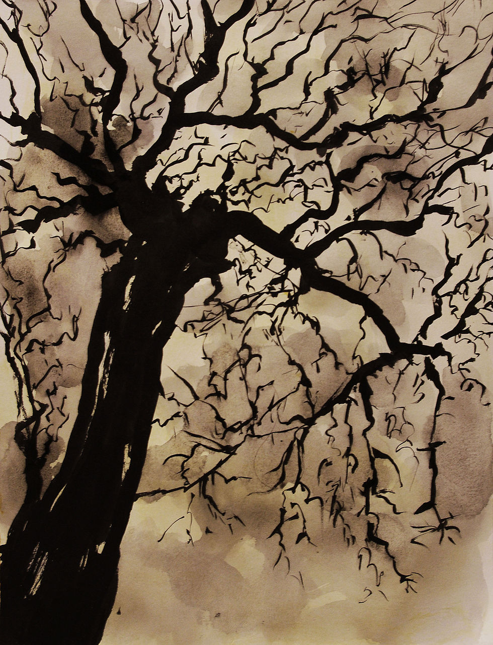 My Trees