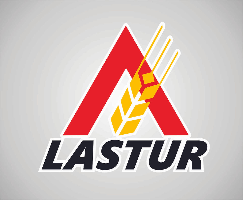 LASTUR.jpg