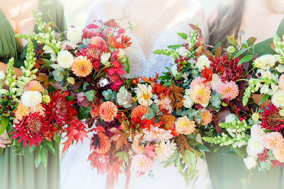 Untitled design (6).png