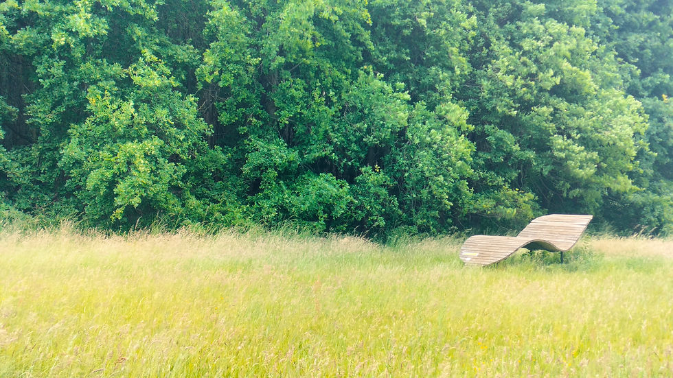 Wandeling Natuurgenoten Brussel